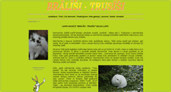 Desktop Screenshot of bralisi-trusisi.lv